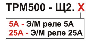 ТРМ500. Пример обозначения при заказе